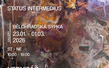 Denisa Smetanová Vernisáž