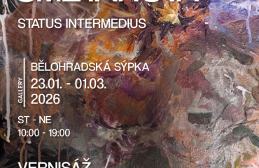 Denisa Smetanová Vernisáž